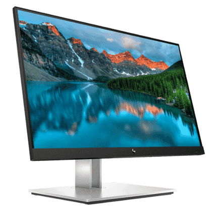 HP E22 G4 21.5" Full HD IPS Monitor