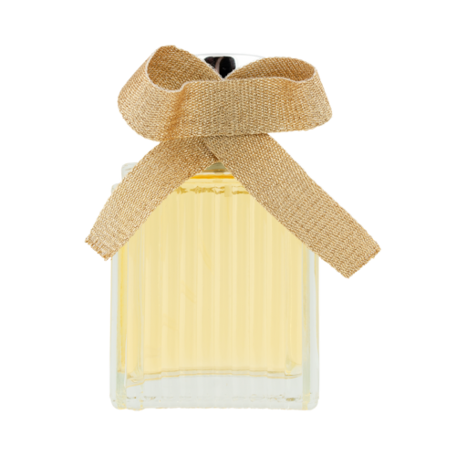 Designer Brands Classic for Women EDP 100ml - OhYouLuckyDuck.com.au