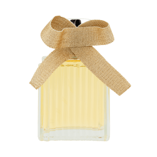 Designer Brands Classic for Women EDP 100ml - OhYouLuckyDuck.com.au