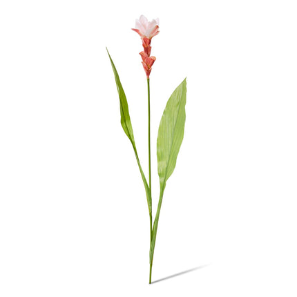 Ginger Flower Spray 32X20X84CM