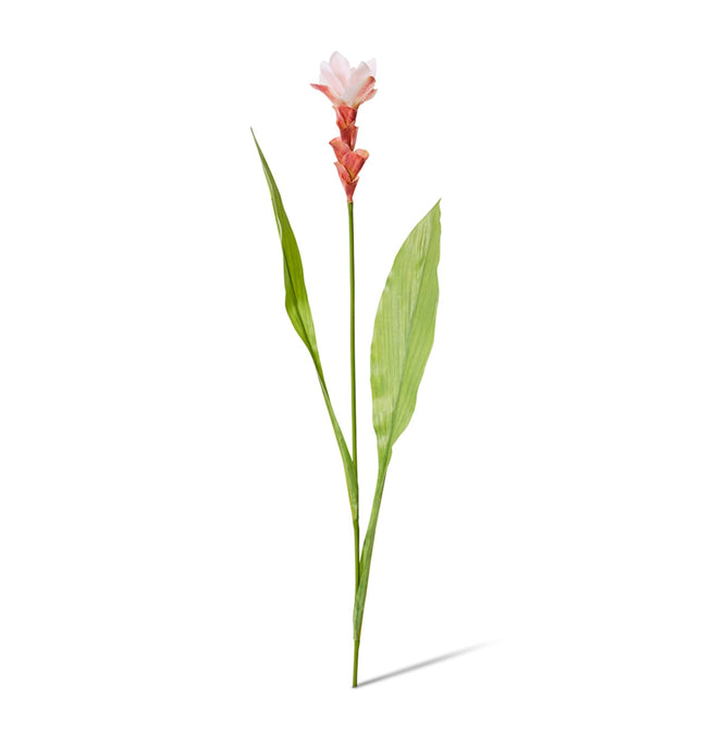 Ginger Flower Spray 32X20X84CM