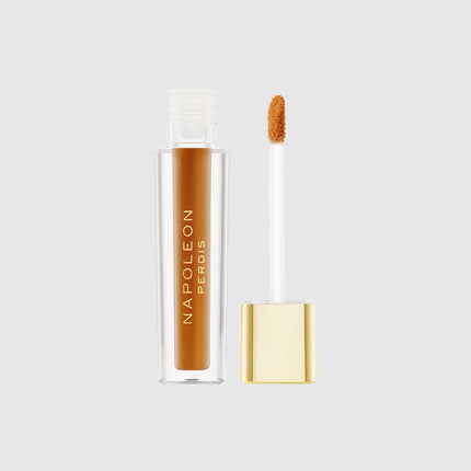 Napoleon Camera Finish Concealer Dy22