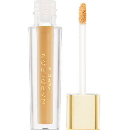 Napoleon Camera Finish Concealer LY13