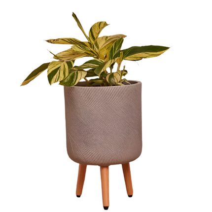 Northcote Pottery Haile Tripod Grey