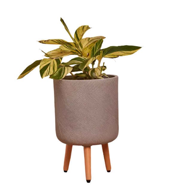 Northcote Pottery Haile Tripod Grey