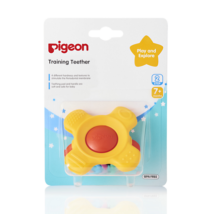 Pigeon Training Teether Step 2 7 Months Plus