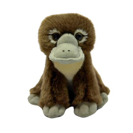 CA Australia Piper the Platypus Stuffed Plush Animal Soft Toy