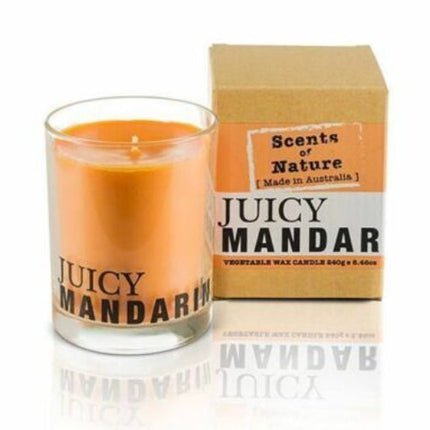 Tilley Scents Of Nature Candle 240g Juicy Mandarin