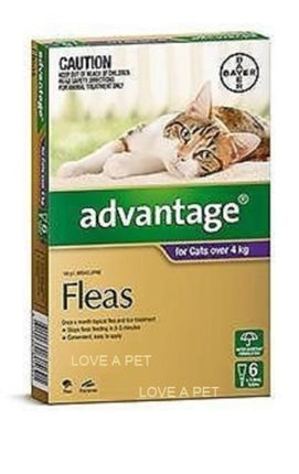 Advantage for Large Cats Over 4KG