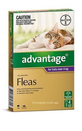 Advantage for Large Cats Over 4KG