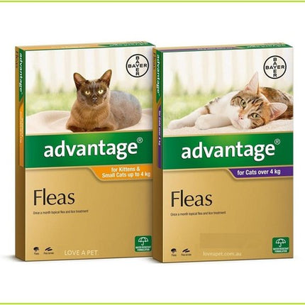 Advantage for Large Cats Over 4KG
