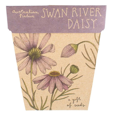 Sow n Sow Greeting to Grow Best Wishes Card with Swan River Daisy Seeds