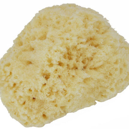 Manicare Body Sponge