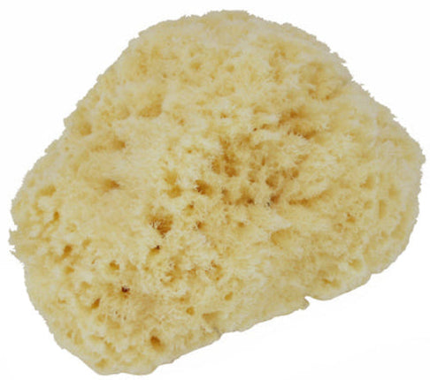 Manicare Body Sponge