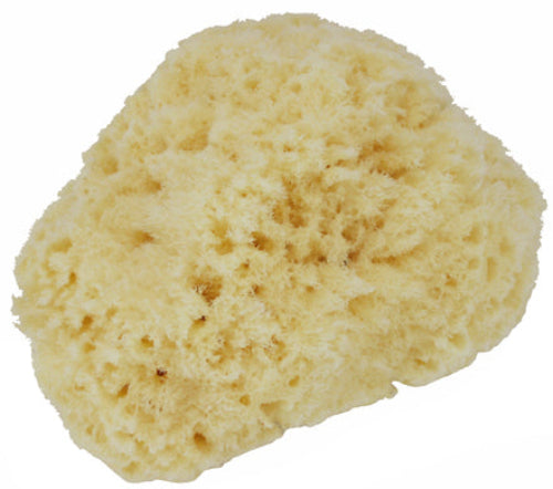 Manicare Body Sponge