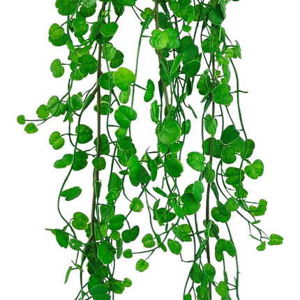 String Of Hearts Plant Green 89Cm
